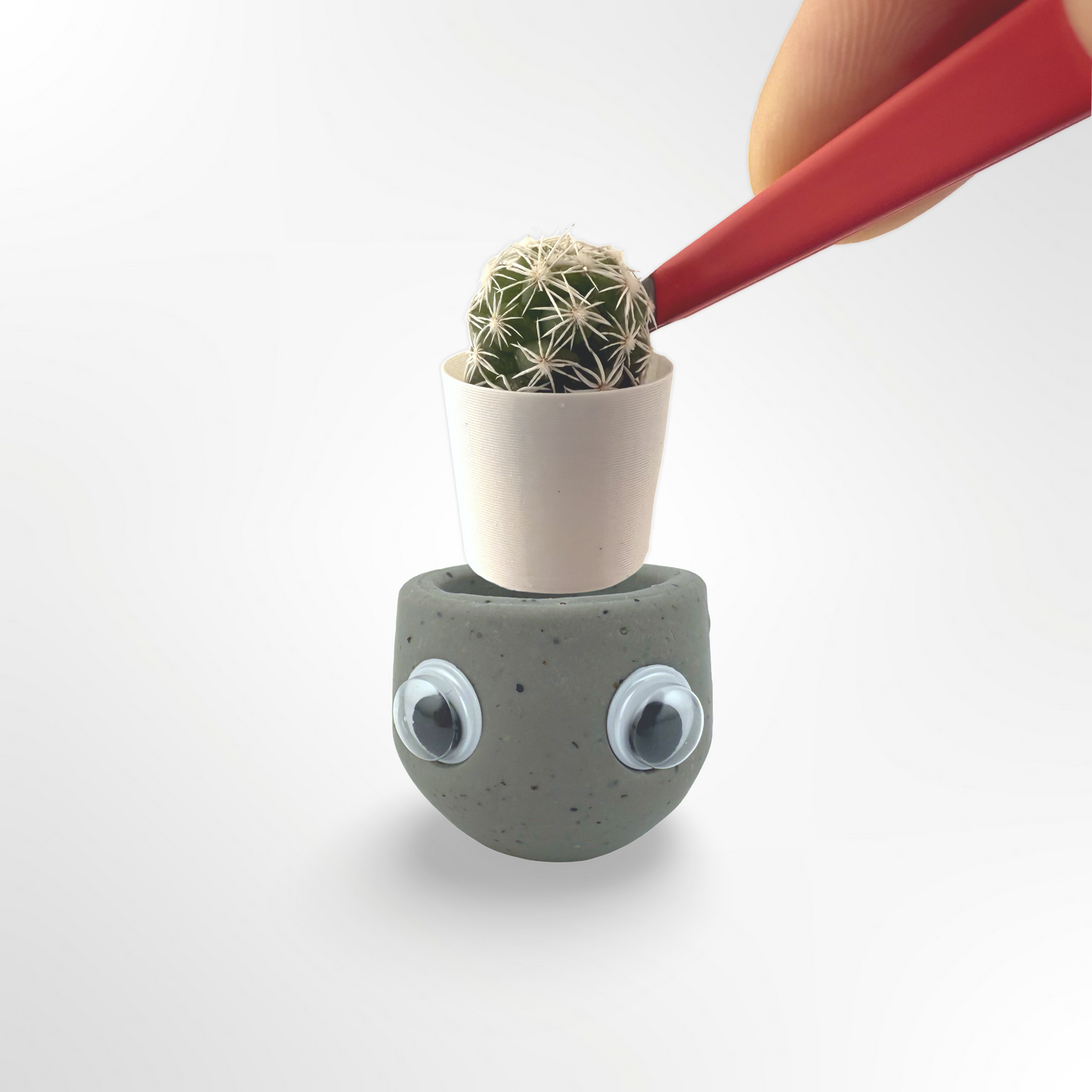 Tiny Rock
