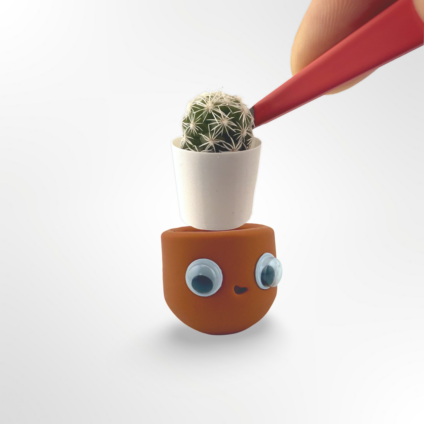 Tiny Potta