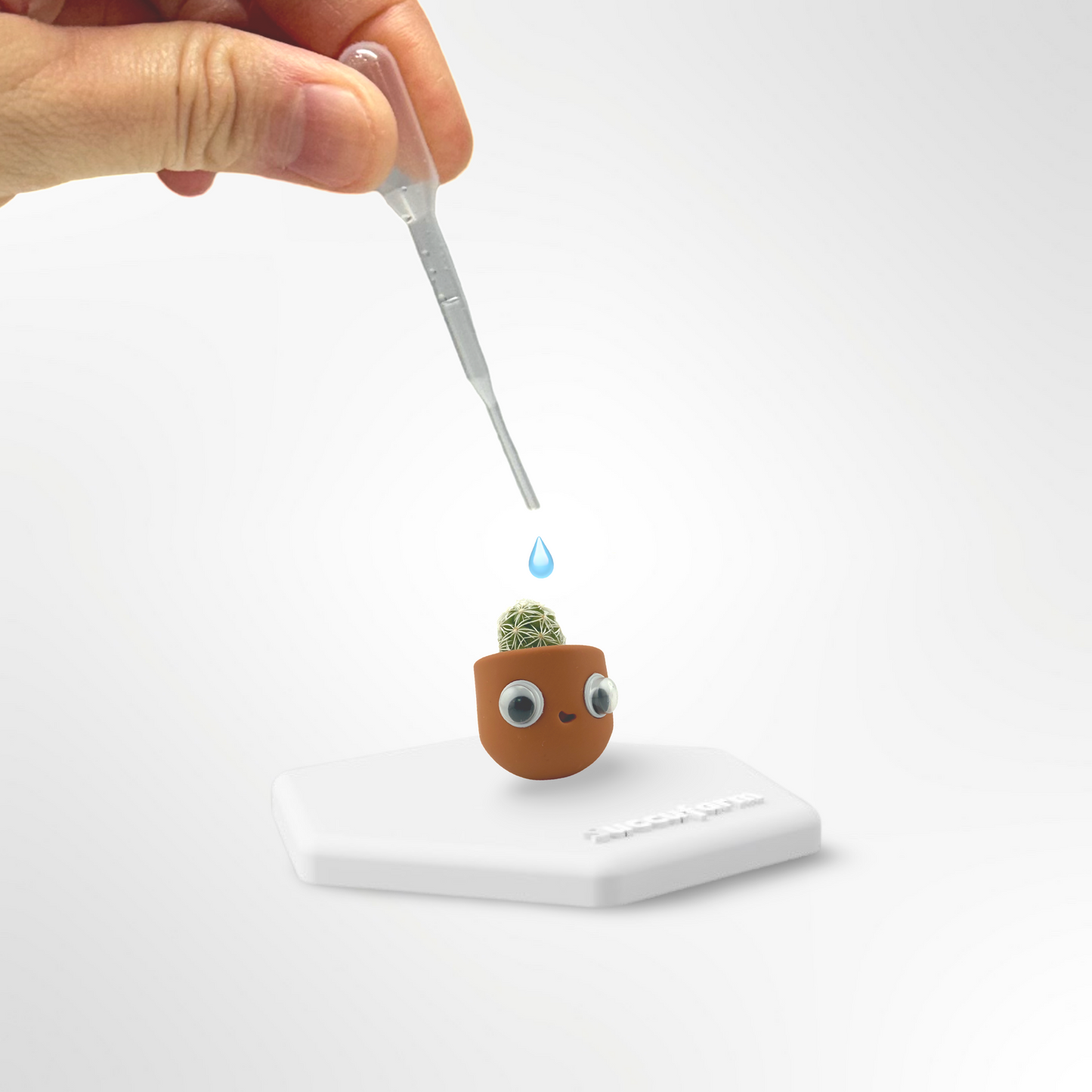 Tiny Potta