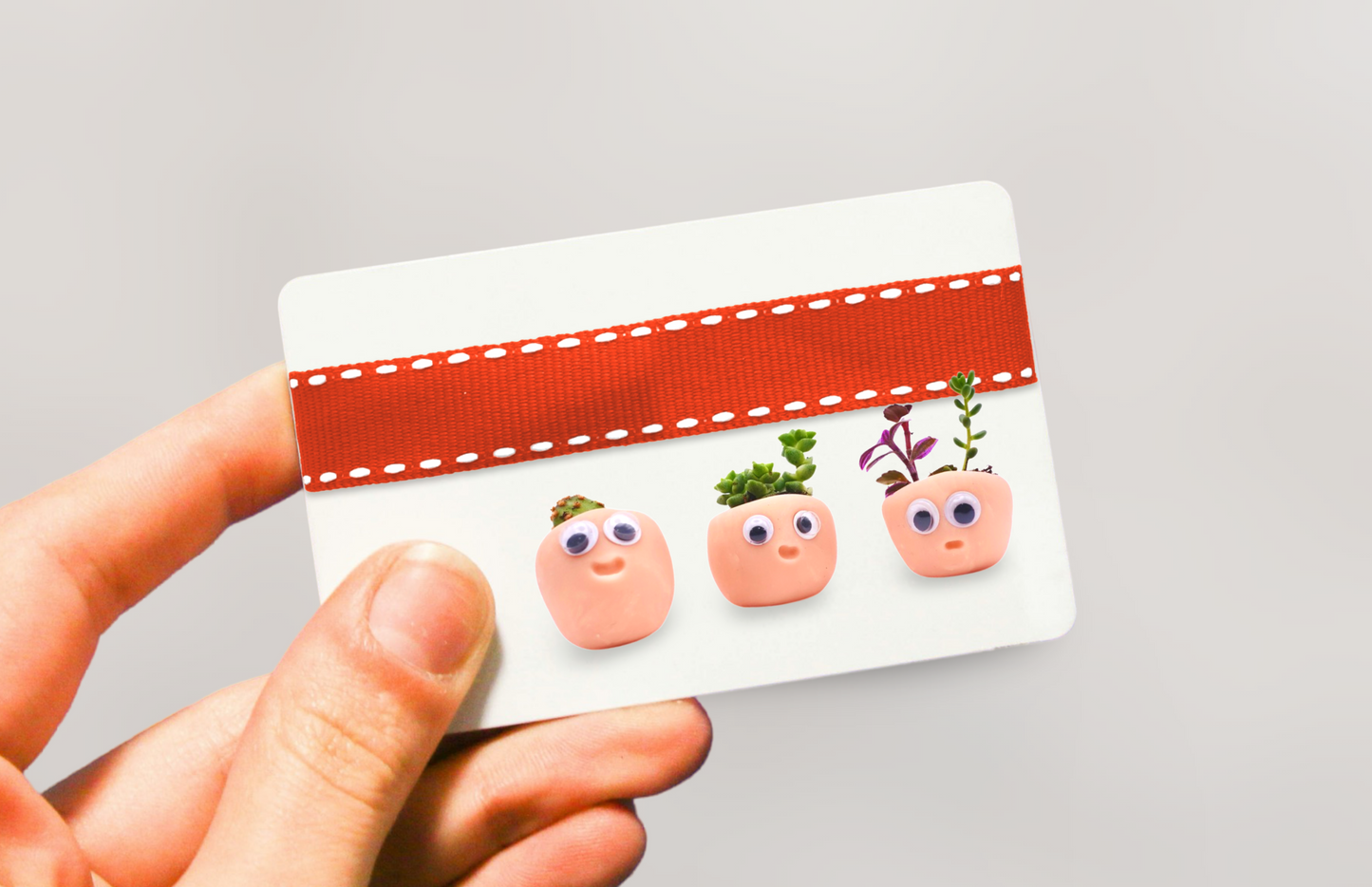 Real Tiny Plants eGift Card
