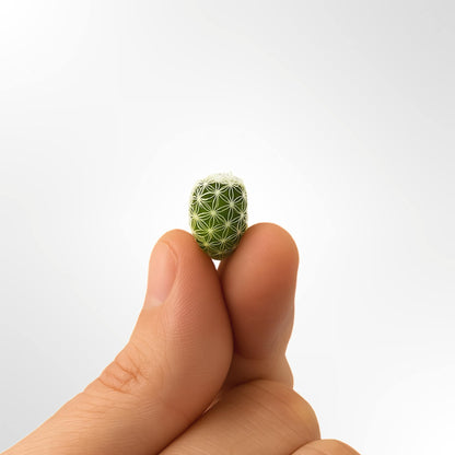 Thimble Cactus Replacement Kit