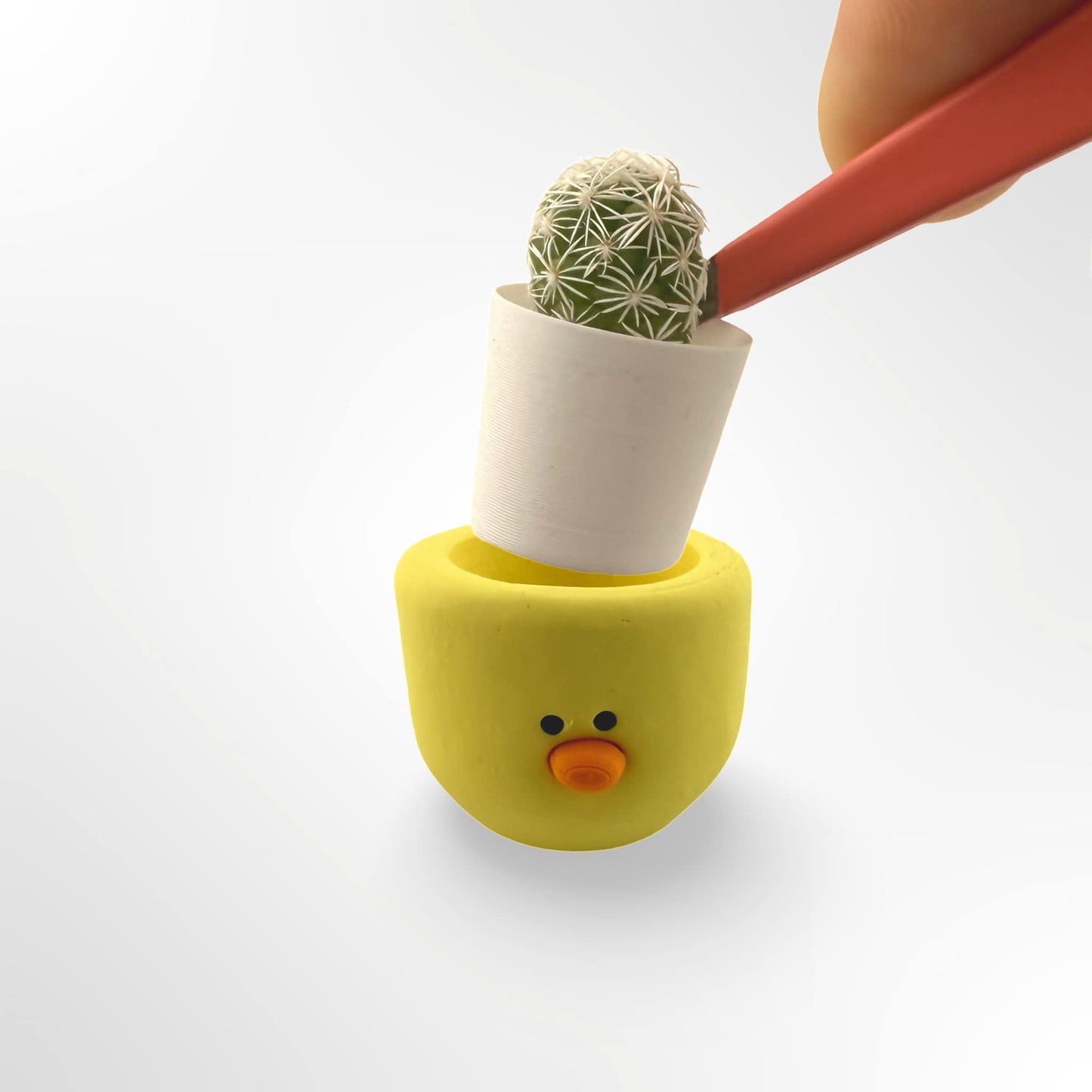 Chick Magnet