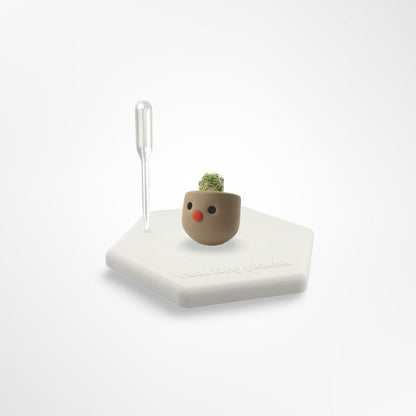 Tiny Red Nose