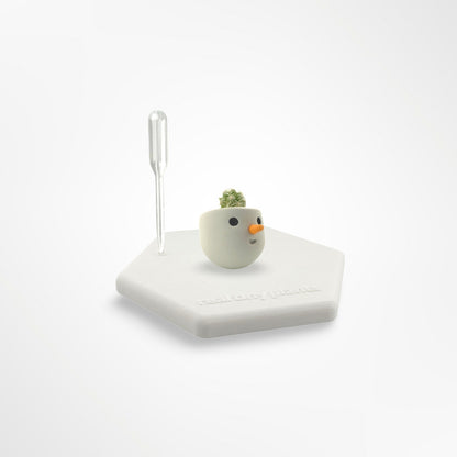Little Frosty