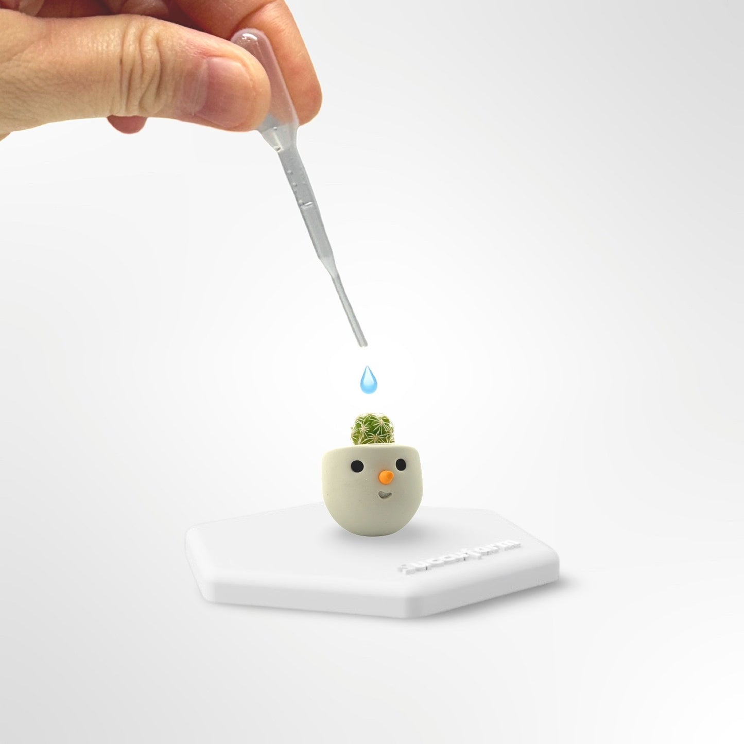 Little Frosty