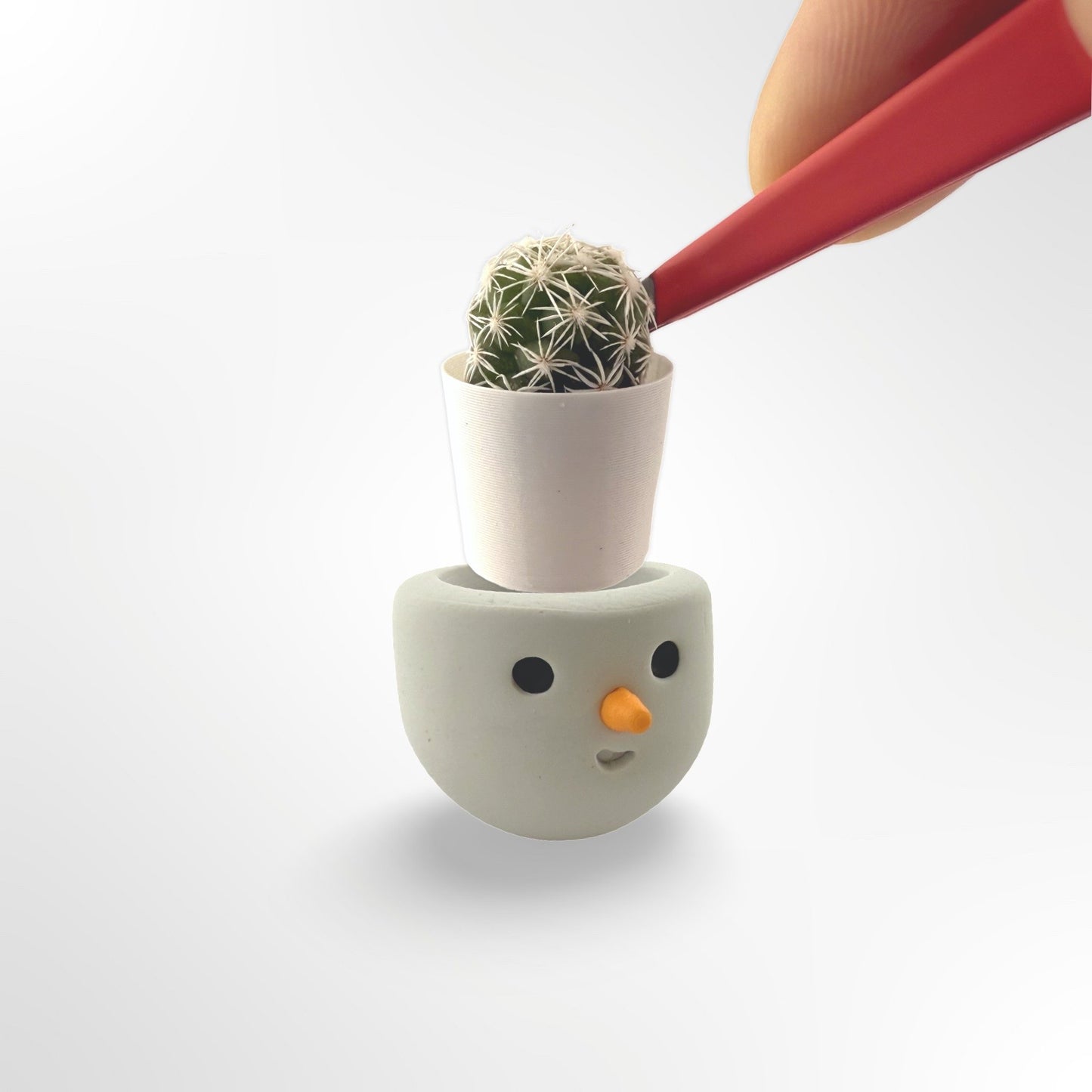 Little Frosty