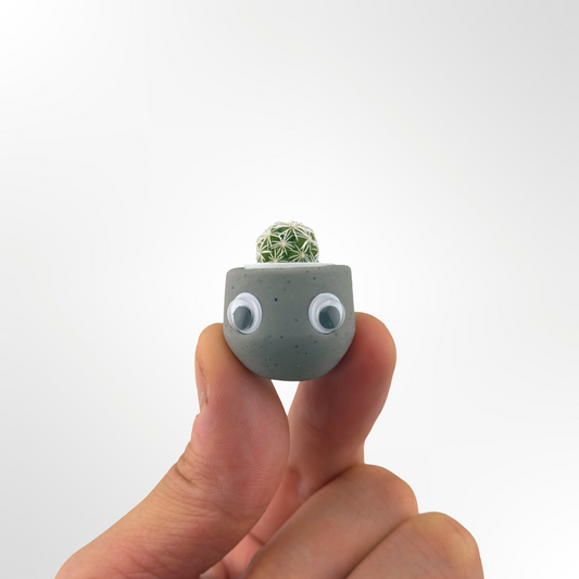 Tiny Rock
