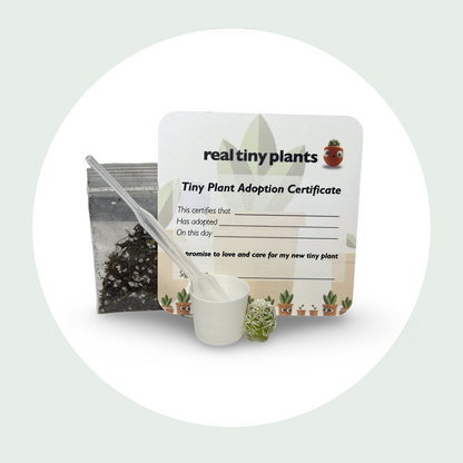 Thimble Cactus Replacement Kit
