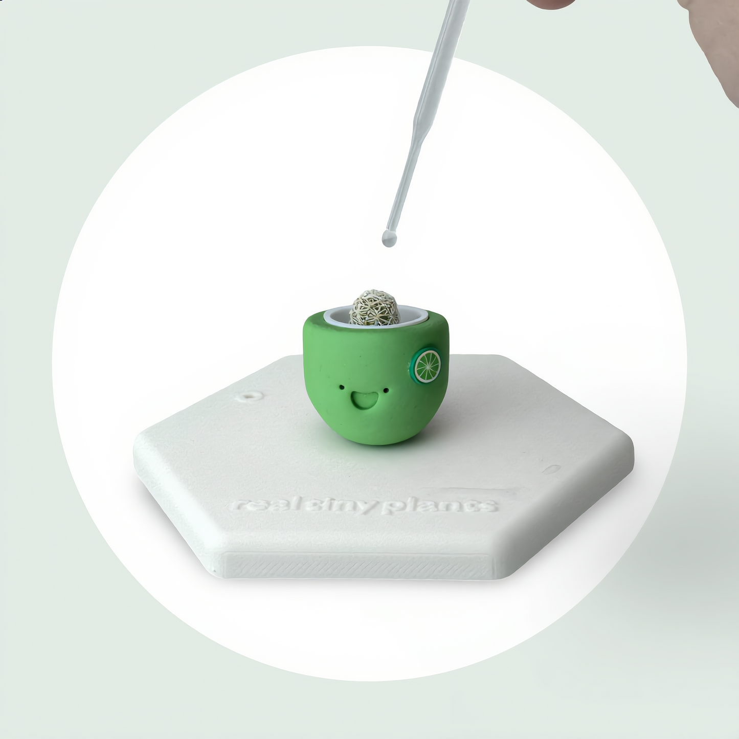 Keylime