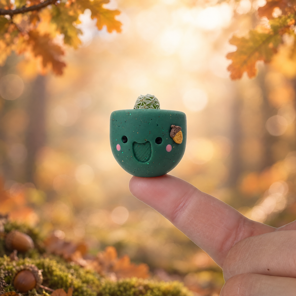 Acorny mini cactus pot on a fingertip in an autumn forest with acorns and moss