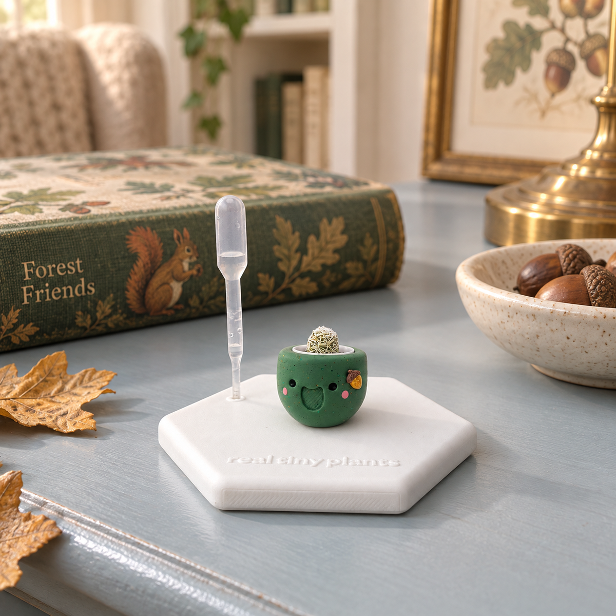 Acorny tiny cactus on its white hexagon coaster on a side table beside a Forest Friends book, a bowl of acorns, and oak leaves