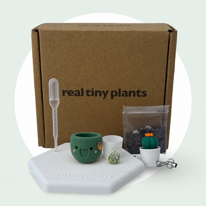 Acorny adoption kit with shipping box, dropper, soil, white inner pot, live cactus, magnetic coaster, and Cactus Pal keychain