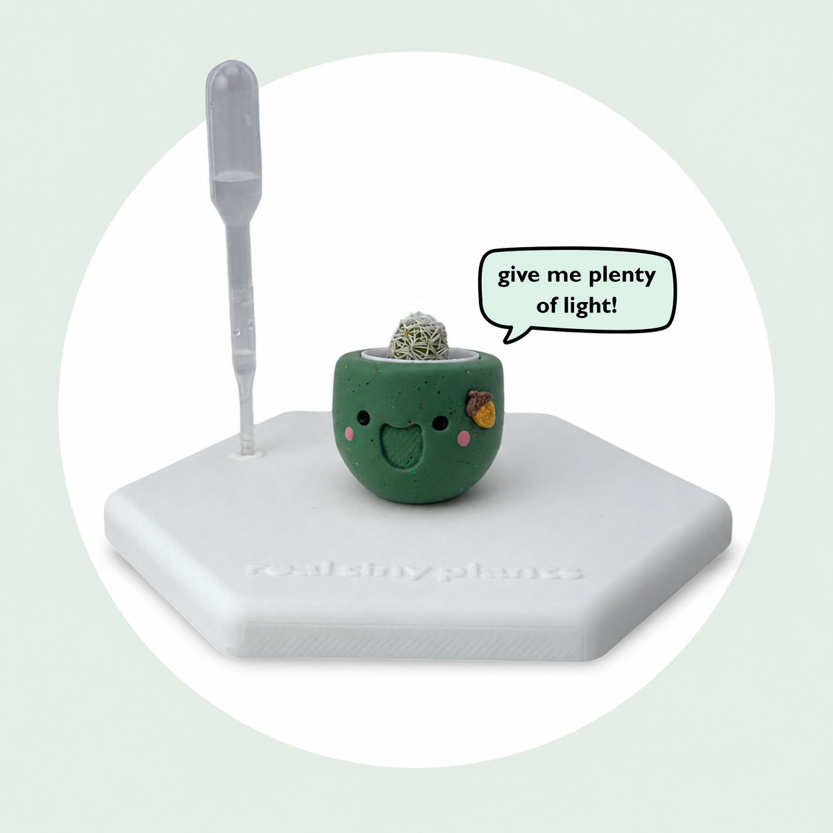 Acorny on its magnetic coaster with a speech bubble that says give me plenty of light