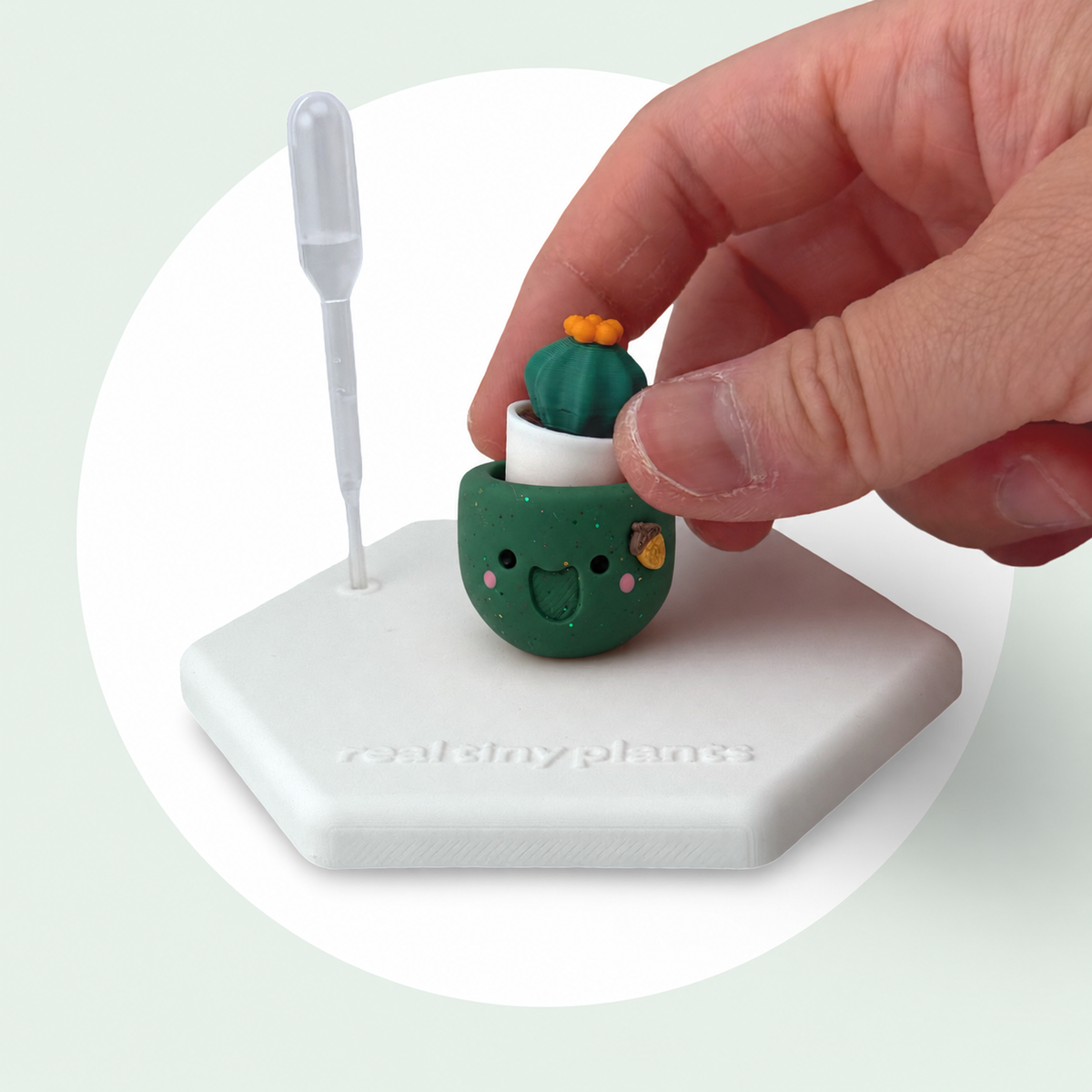 A hand sets the Cactus Pal into the Acorny pot on its magnetic coaster
