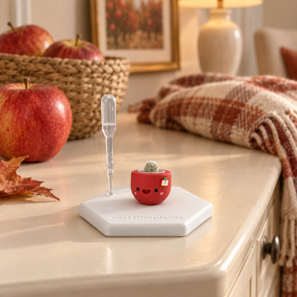 Apple Cider tiny cactus on its white hexagon coaster on a dresser beside a basket of red apples, a plaid throw, and autumn leaves