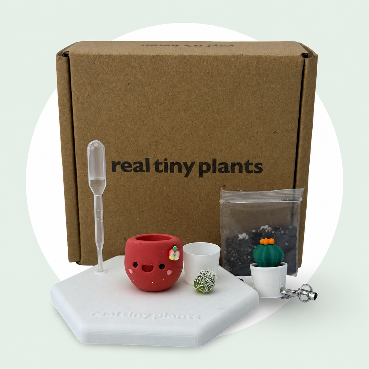 Apple Cider adoption kit with shipping box, dropper, soil, white inner pot, live cactus, magnetic coaster, and Cactus Pal keychain