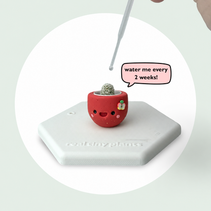 Dropper watering Apple Cider with a speech bubble that says water me every 2 weeks