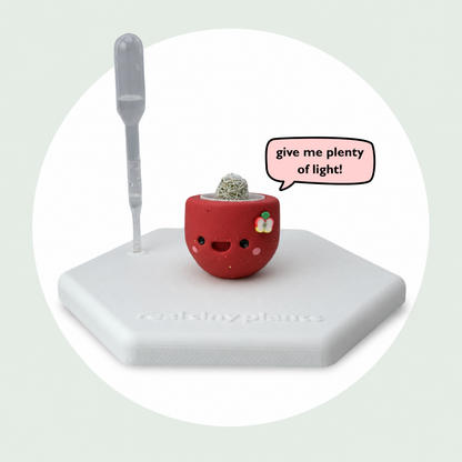 Apple Cider on its magnetic coaster with a speech bubble that says give me plenty of light