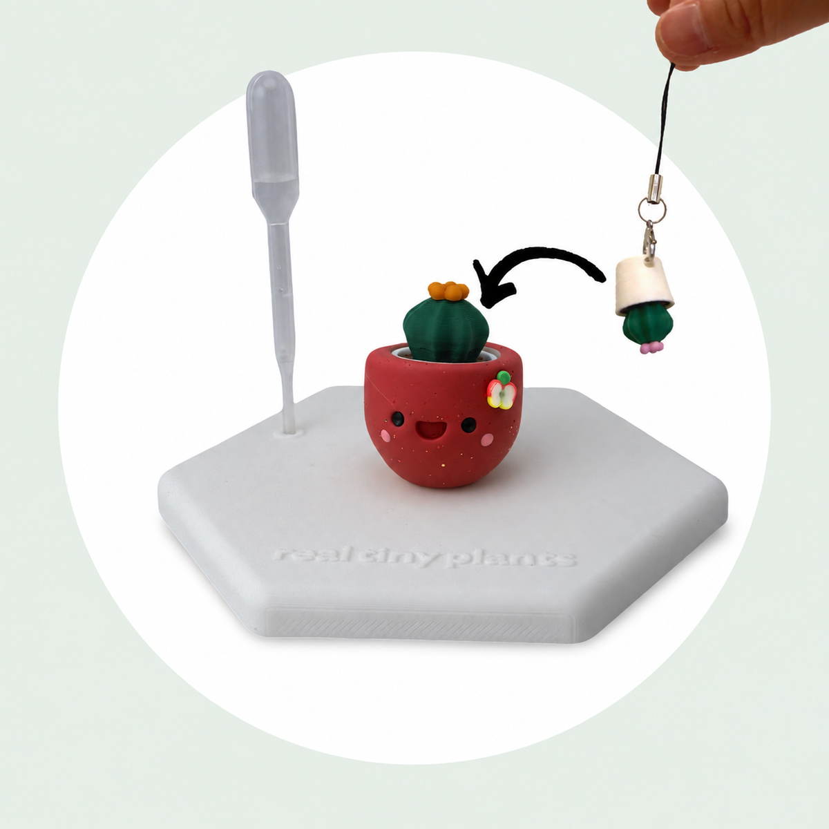 Cactus Pal keychain shown dropping into the Apple Cider pot as a forever plant backup