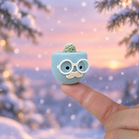 Chilly Chap mini cactus pot on a fingertip in a snowy pine forest at sunset