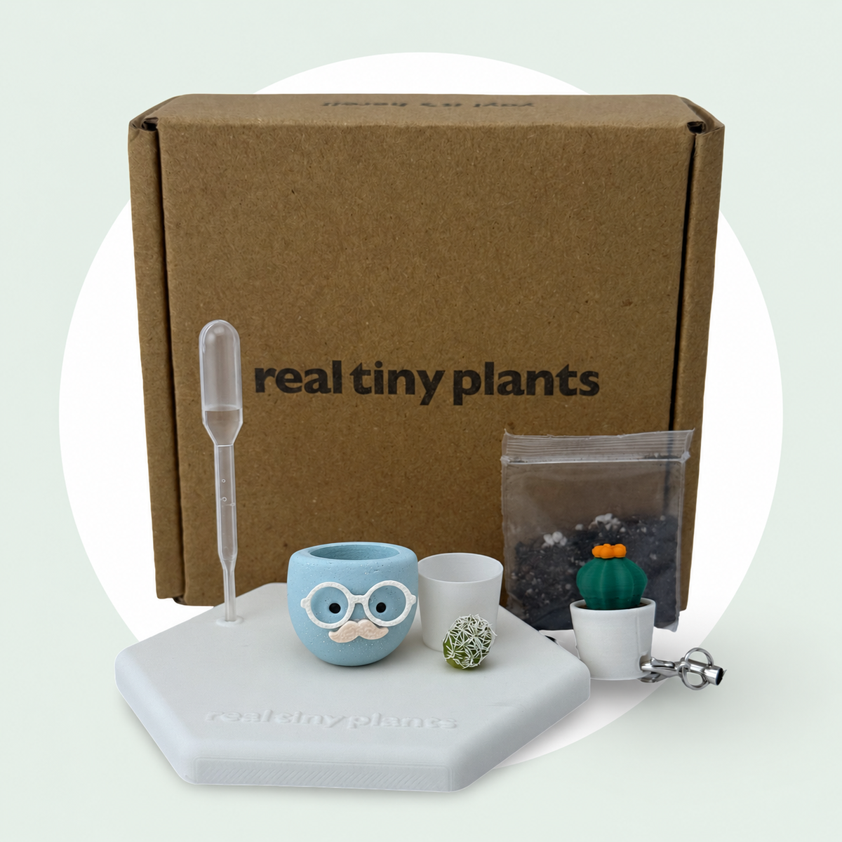Chilly Chap adoption kit with shipping box, dropper, soil, white inner pot, live cactus, magnetic coaster, and Cactus Pal keychain