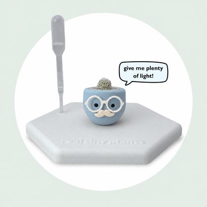 Chilly Chap on its magnetic coaster with a speech bubble that says give me plenty of light