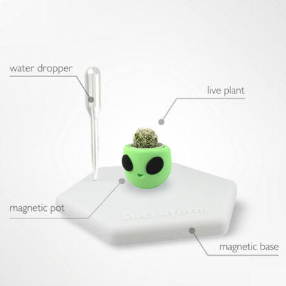 Baby Martian