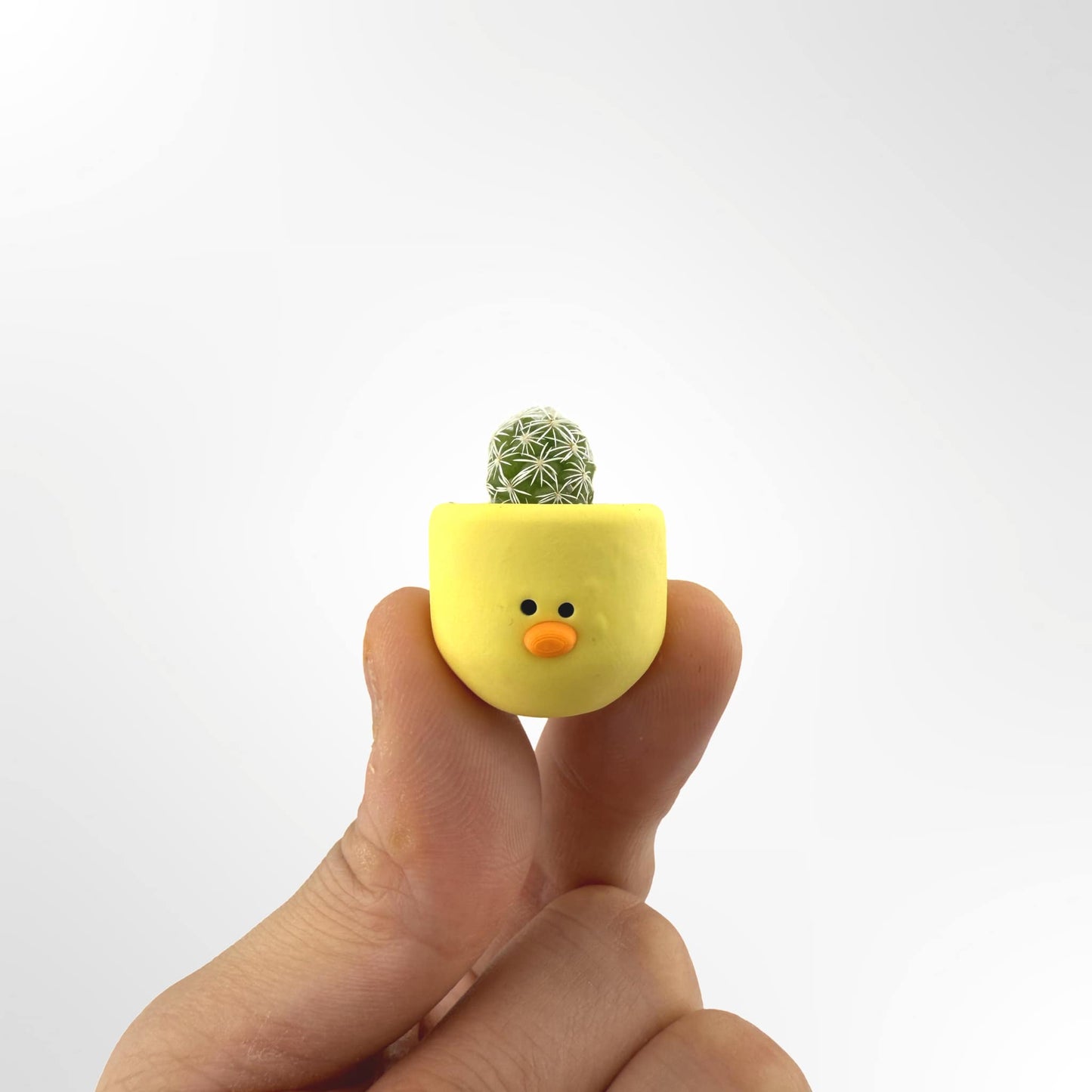 Chick Magnet