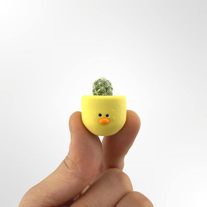 Chick Magnet