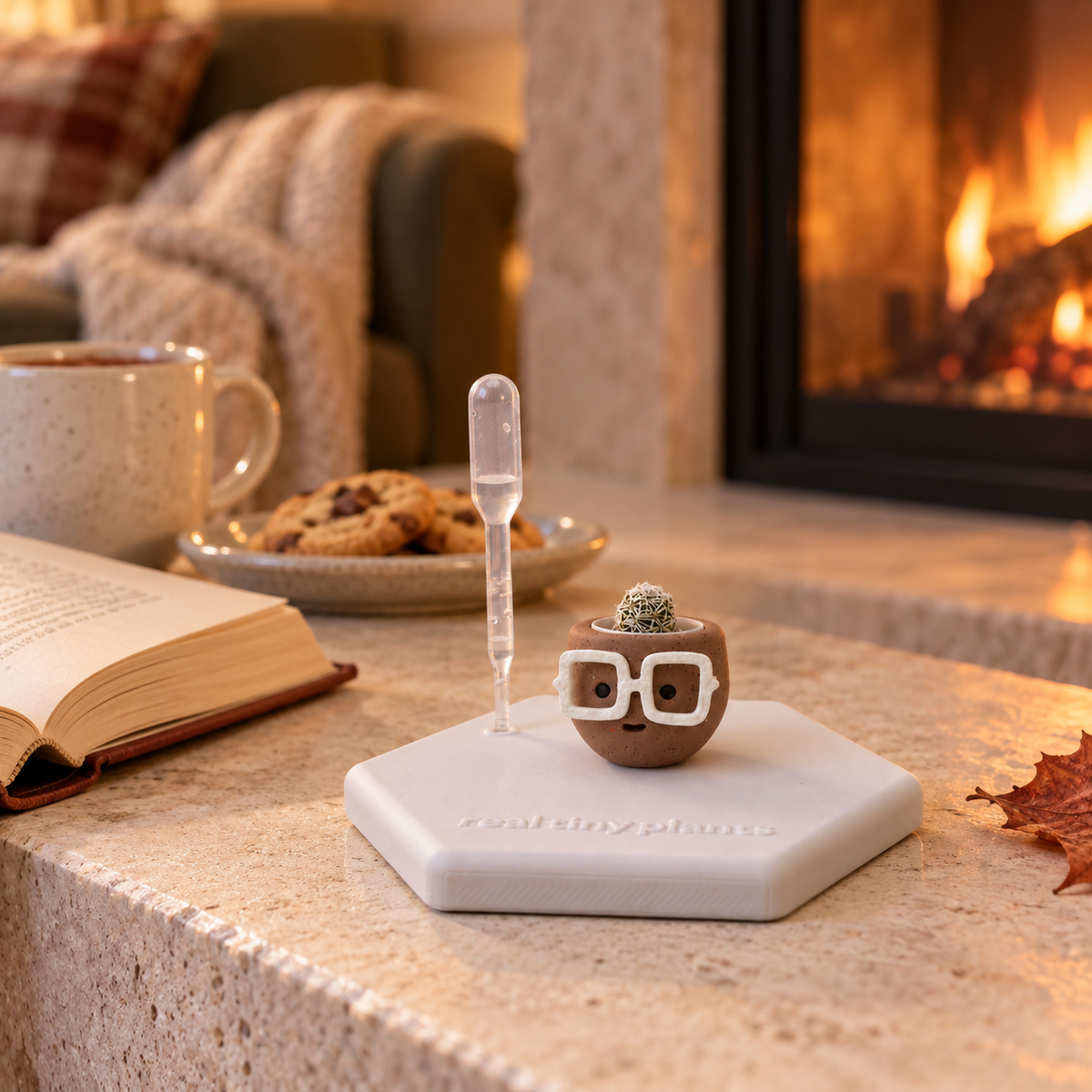 Hot Cocoa tiny cactus on its white hexagon coaster on a fireplace hearth beside a mug, cookies, an open book, and a cozy throw
