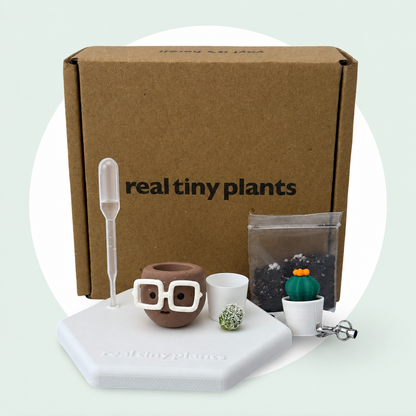 Hot Cocoa adoption kit with shipping box, dropper, soil, white inner pot, live cactus, magnetic coaster, and Cactus Pal keychain