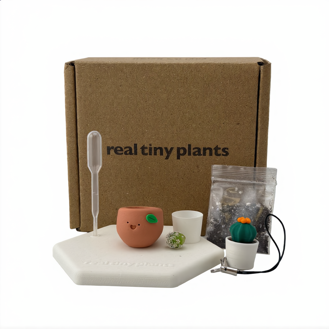 Tiny Plant Adoption Kit laid out in front of its box: clay pot, inner liner pot, soil, dropper, live cactus, magnetic hexagon stand, and Cactus Pal keychain