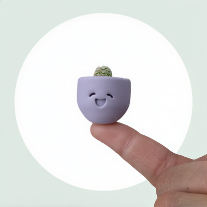 Little Lavender