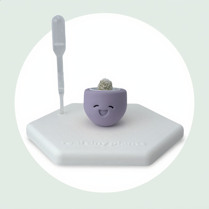 Little Lavender