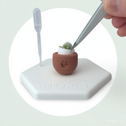 Choco Mochi