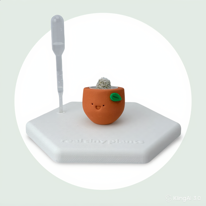 Sweet Clementine
