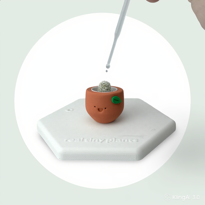 Sweet Clementine