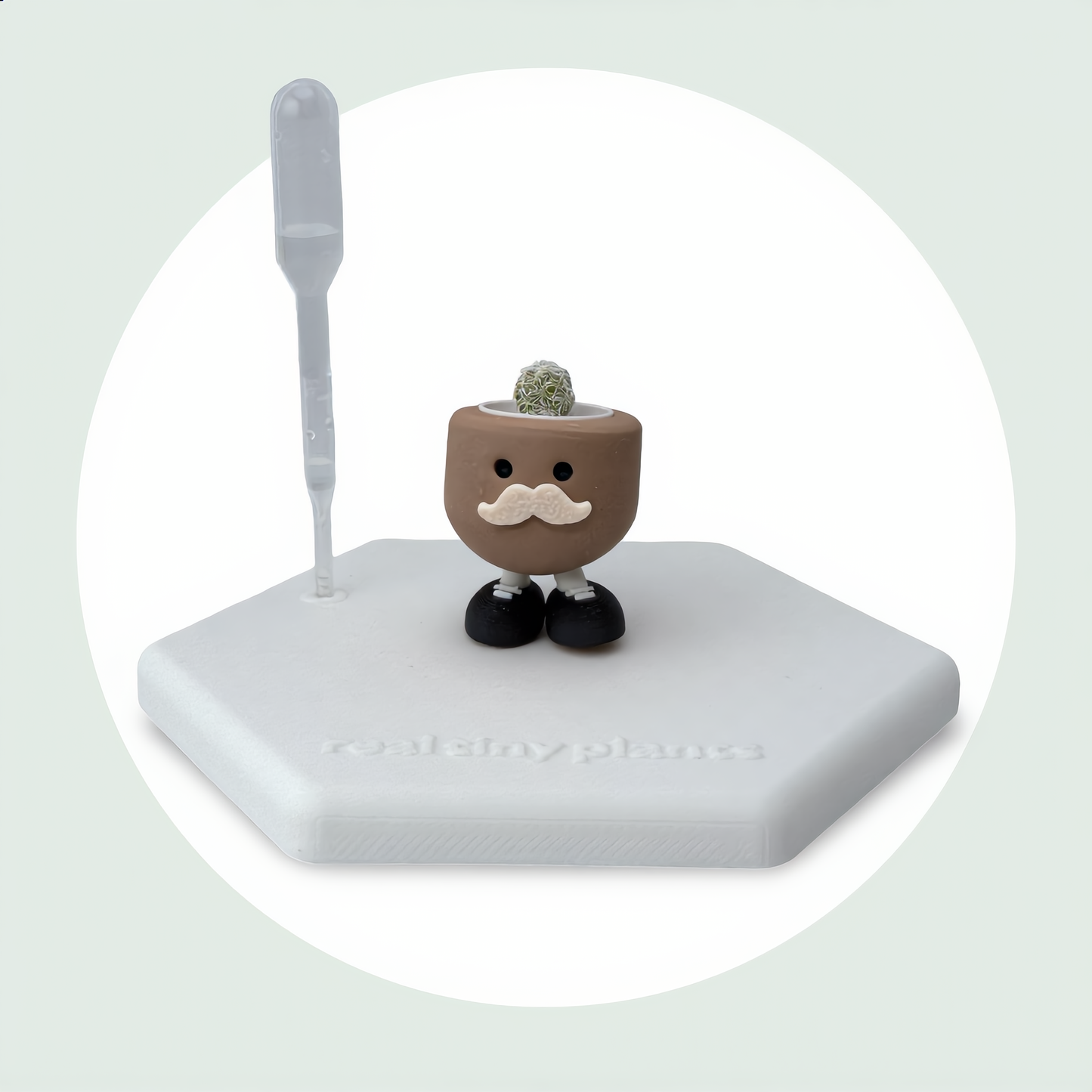 Papa Latte