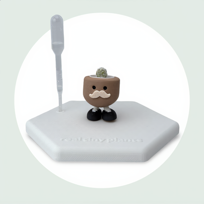 Papa Latte