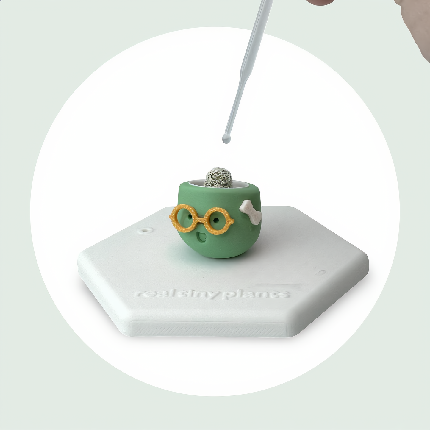 Mrs. Matcha