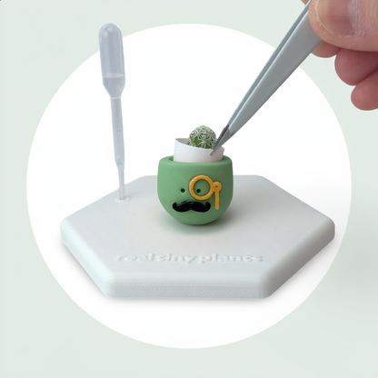 Mr. Matcha