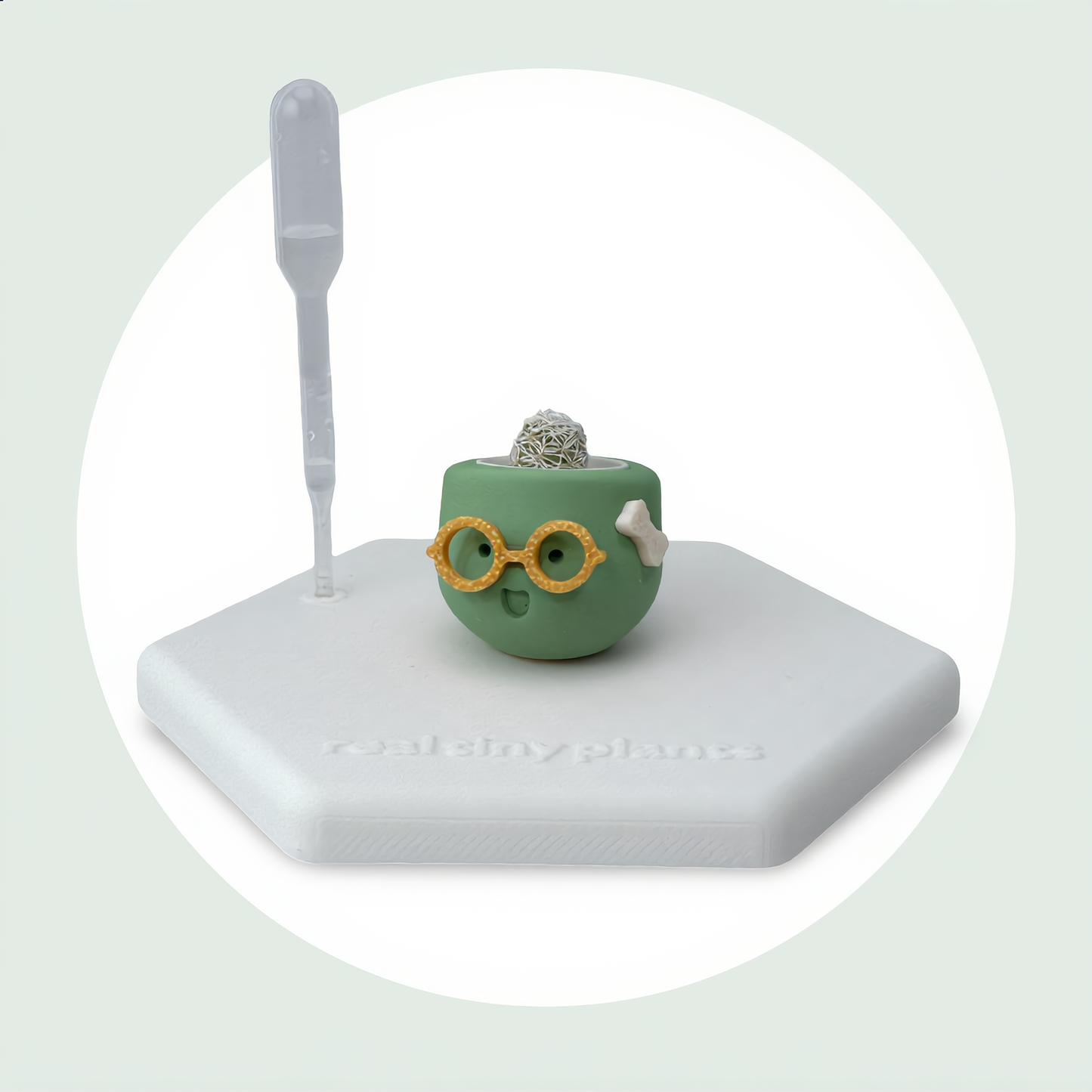 Mrs. Matcha