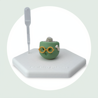Mrs. Matcha