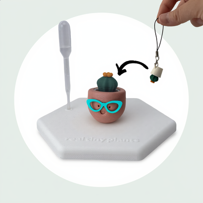 Bronze Babe