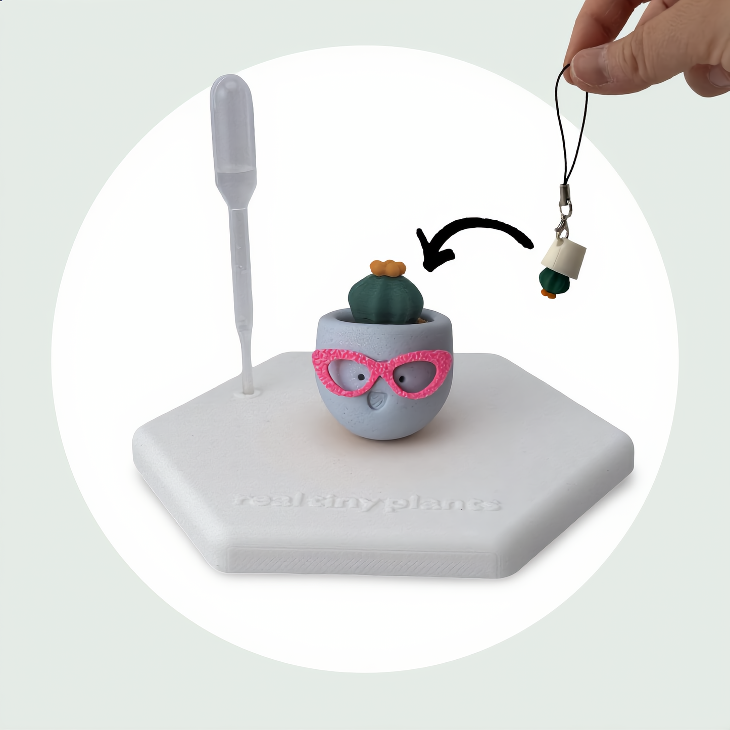 Sassy Silver