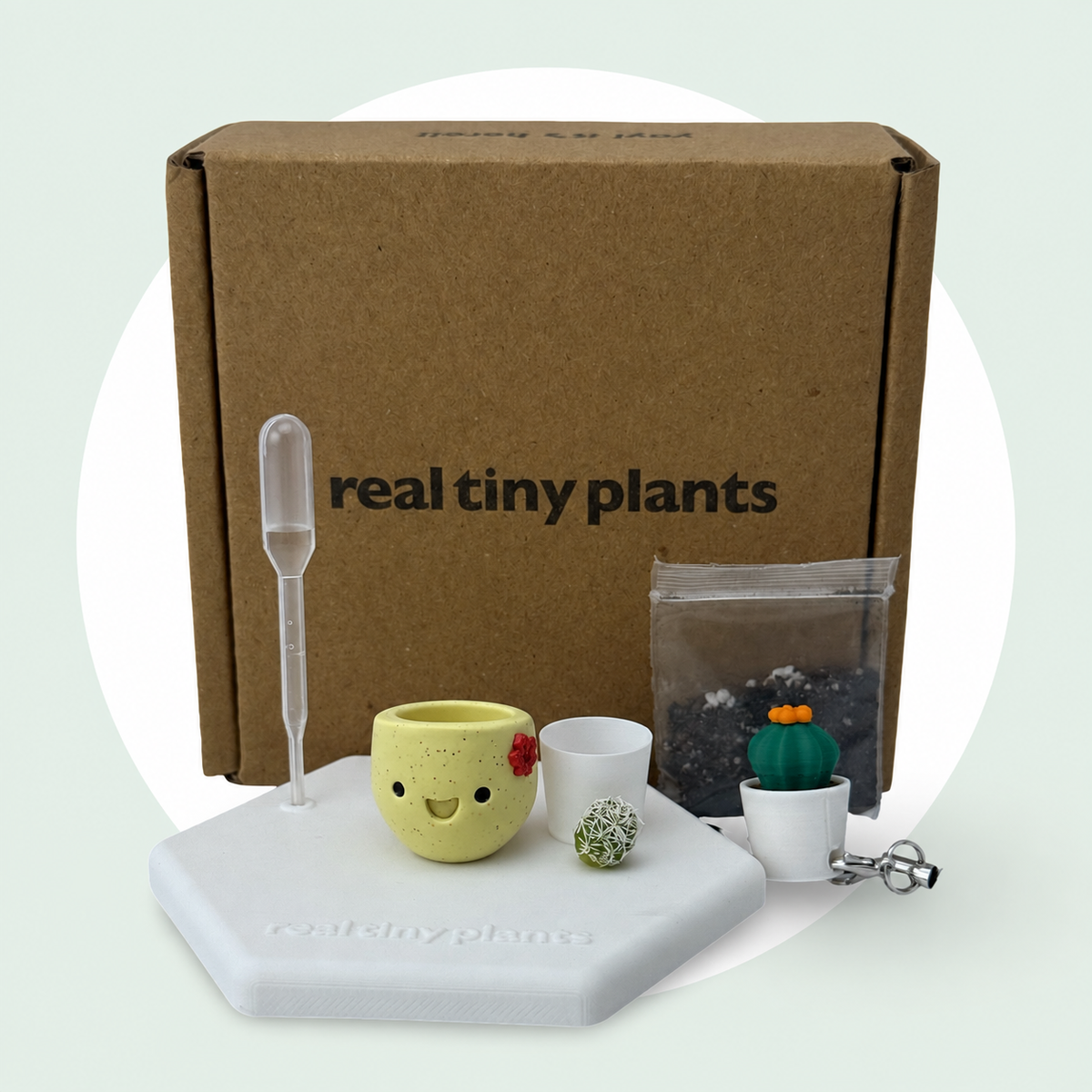 Maple Cookie adoption kit with shipping box, dropper, soil, white inner pot, live cactus, magnetic coaster, and Cactus Pal keychain