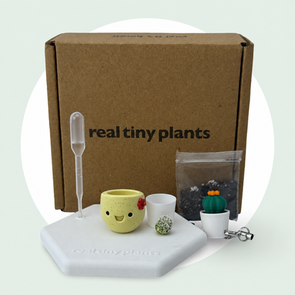 Maple Cookie adoption kit with shipping box, dropper, soil, white inner pot, live cactus, magnetic coaster, and Cactus Pal keychain