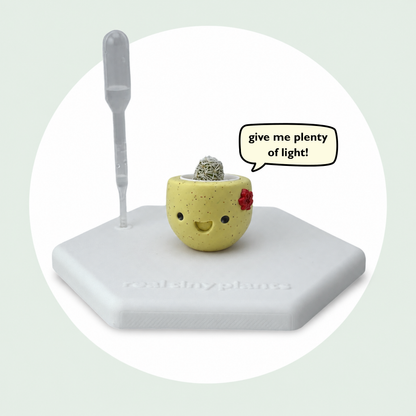 Maple Cookie on its magnetic coaster with a speech bubble that says give me plenty of light