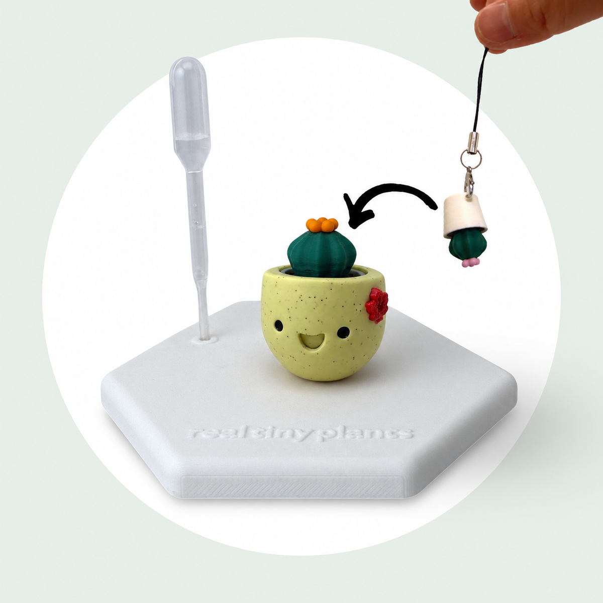 Cactus Pal keychain shown dropping into the Maple Cookie pot as a forever plant backup