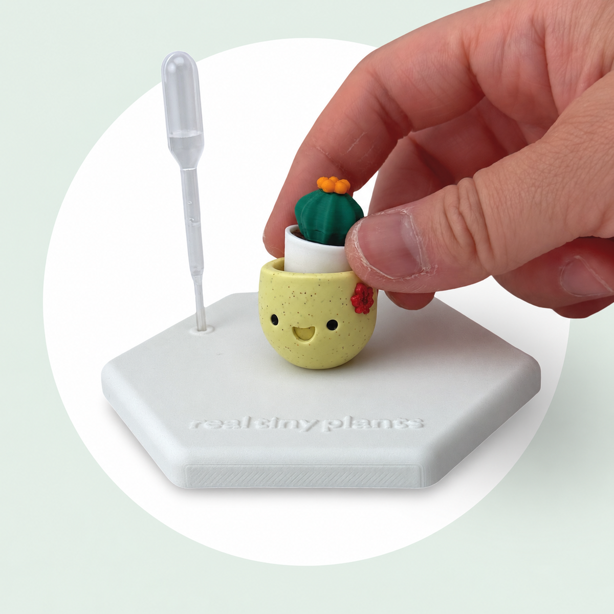 A hand sets the Cactus Pal into the Maple Cookie pot on its magnetic coaster
